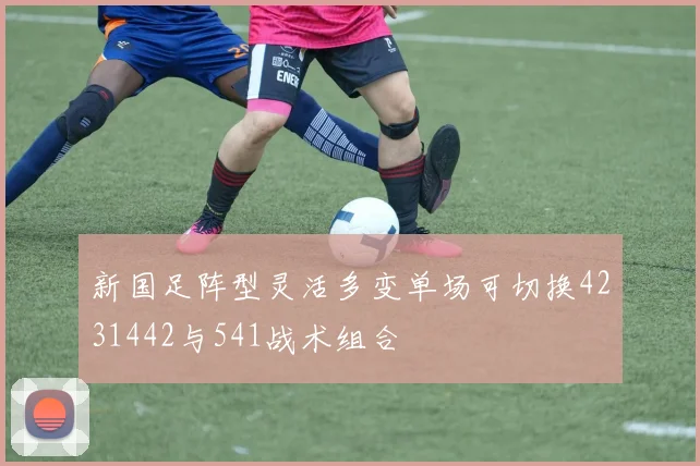 新国足阵型灵活多变单场可切换4231442与541战术组合