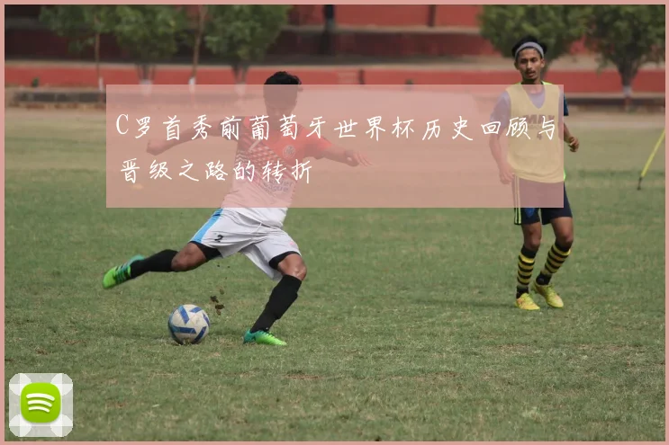 C罗首秀前葡萄牙世界杯历史回顾与晋级之路的转折