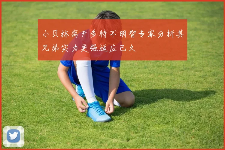 小贝林离开多特不明智专家分析其兄弟实力更强适应已久