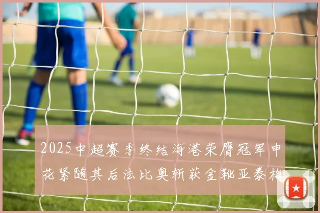 2025中超赛季终结海港荣膺冠军申花紧随其后法比奥斩获金靴亚泰梅州遗憾降级