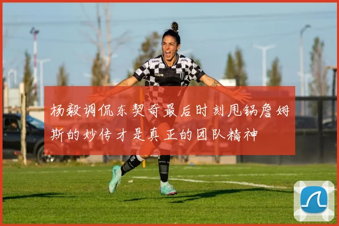 杨毅调侃东契奇最后时刻甩锅詹姆斯的妙传才是真正的团队精神
